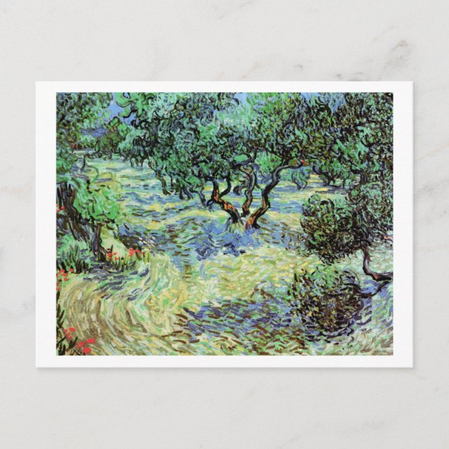 Carte Postale Olive Grove, Vincent van Gogh Art (Devant)