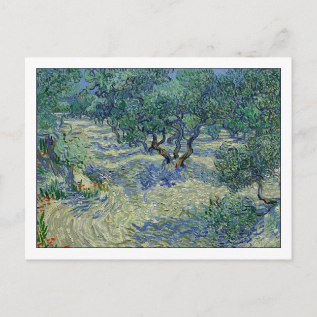 Carte Postale Olive Orchard par van Gogh (Devant)