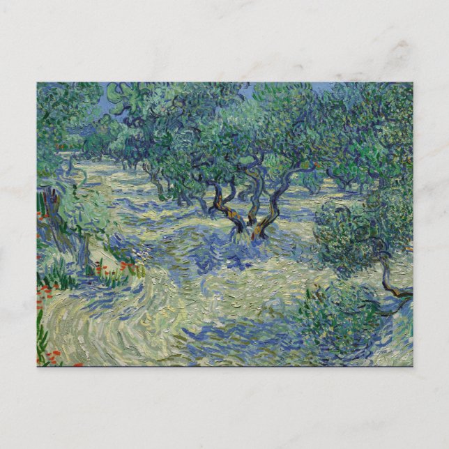 Carte Postale Olive Orchard par van Gogh (Devant)