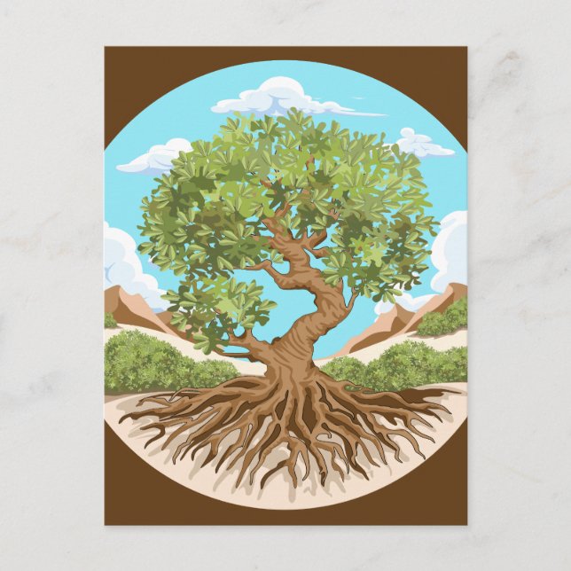 Carte Postale Olive tree Symbole de paix dans la Palestine libre (Devant)
