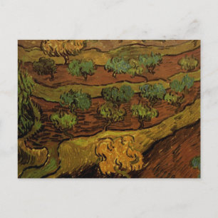 Carte Postale Olive Trees Slope Hill Van Gogh Art