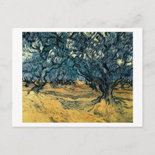 Carte Postale Olive Trees, Vincent van Gogh