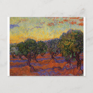 Carte Postale Olive Trees - Vincent Van Gogh