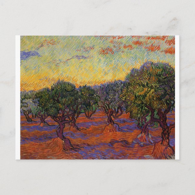 Carte Postale Olive Trees - Vincent Van Gogh (Devant)