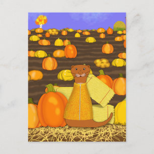 Carte Postale Oliver La Loutre Choisit une Citrouille