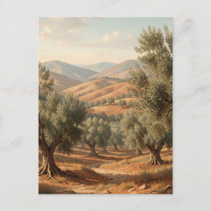Carte Postale Oliveraie Collines ondoyantes Campagne toscane