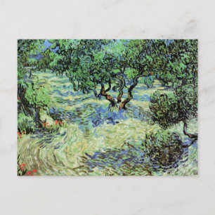Carte Postale Oliveraie par Vincent van Gogh