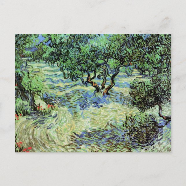 Carte Postale Oliveraie par Vincent van Gogh (Devant)