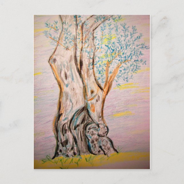 Carte Postale Olivier antique (Devant)