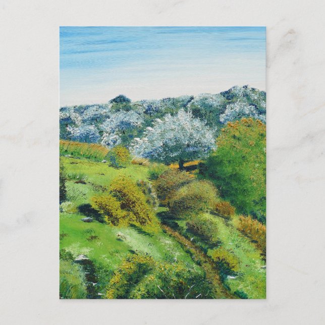 Carte Postale Olivier Grove (Devant)