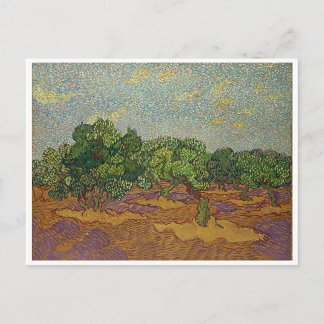 Carte Postale Oliviers, Van Gogh (Devant)