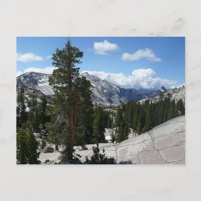 Carte Postale Olmsted Point III dans le parc national de Yosemit (Devant)