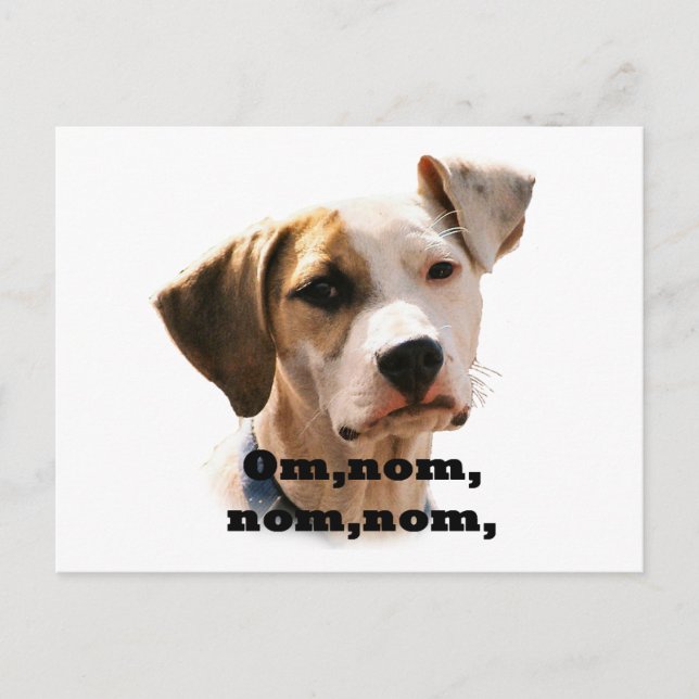 Carte Postale Om, nom, nom, nom (Devant)