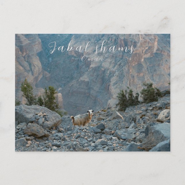 Carte postale Oman Jabal Shams (Devant)