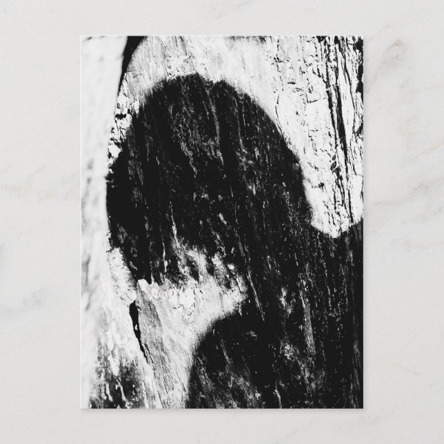 Carte Postale ombre d'adolescent (Devant)