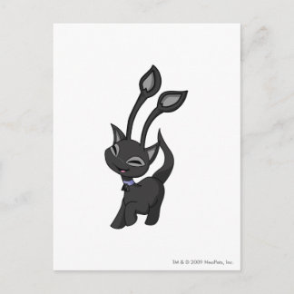 Carte Postale Ombre d'Aisha