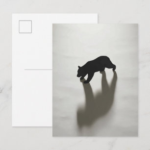 Carte Postale Ombre d'ours noir dans une blanche solitude