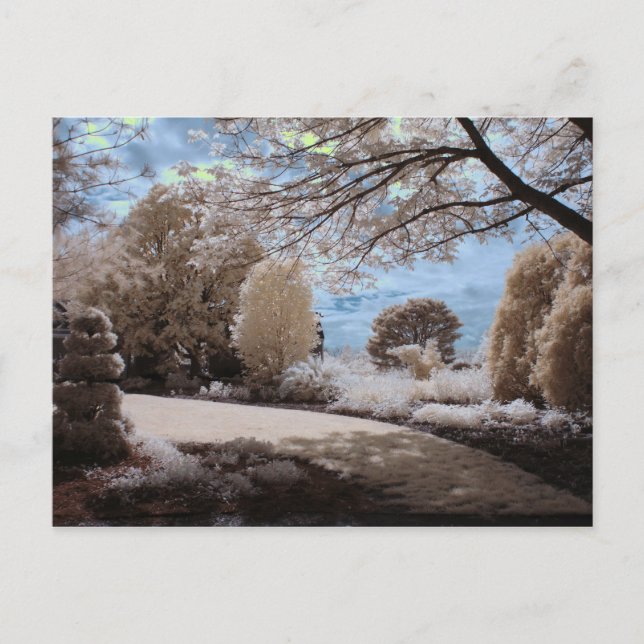 Carte Postale Ombre Du Jardin (Devant)