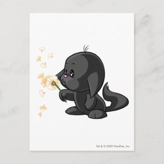 Carte Postale Ombre Kacheek