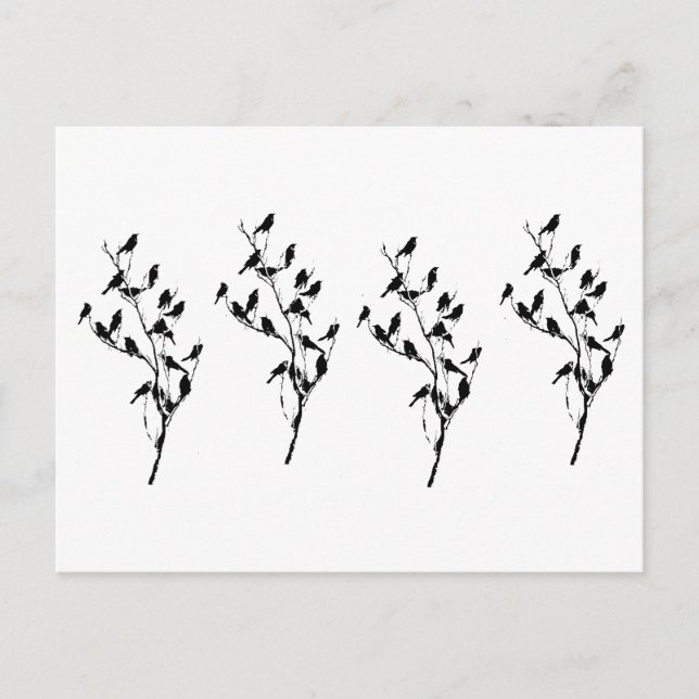 Carte Postale Ombres de Grackle (Devant)