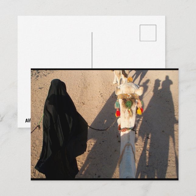 Carte Postale Ombres du désert (Devant / Derrière)