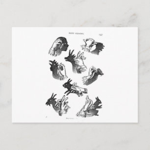 Carte Postale Ombres Mur