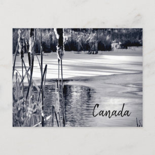 Carte Postale Ombres neige d'hiver Noir Blanc Souvenir du Canada