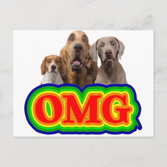 Carte Postale OMG Arc en ciel avec des chiens surpris ! (Devant)