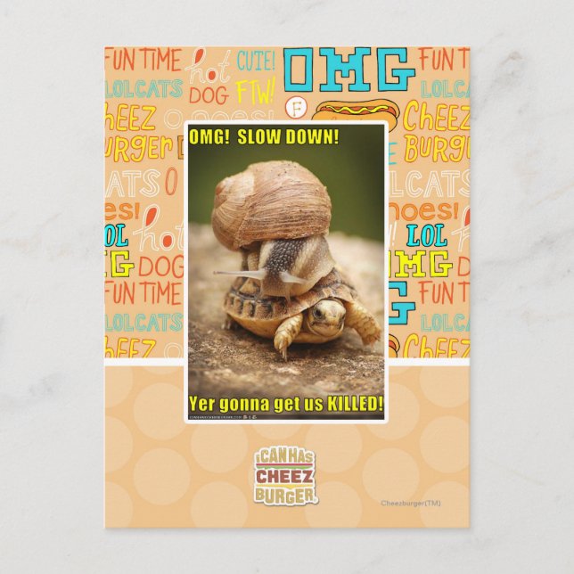 Carte Postale OMG ! Ralentissement ! (Devant)