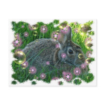 On a un lapin de fête