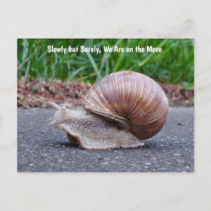 Carte postale On avance comme des escargots