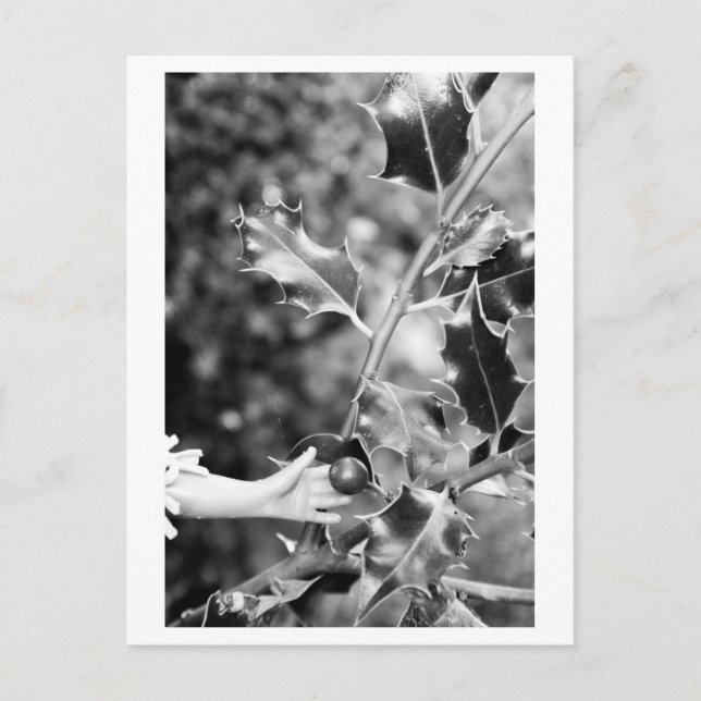 Carte Postale Once upon a time in the woods (Devant)