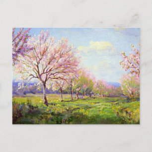 Carte Postale Onderdonk - Peach Orchard,