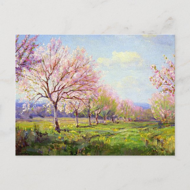 Carte Postale Onderdonk - Peach Orchard, (Devant)