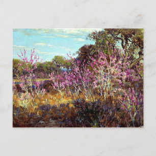 Carte Postale Onderdonk - Rosebud Tree in Bloom à Leon Springs,
