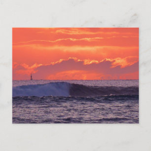 Carte Postale Ondes tropicales