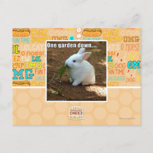 Carte Postale One Garden Down�