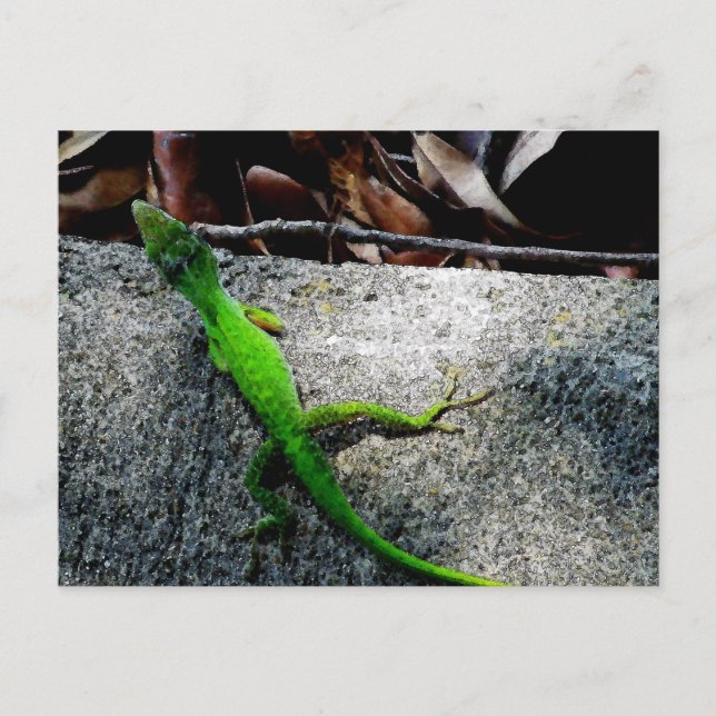 Carte Postale Onglet 6704 (Devant)