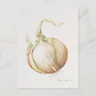 Carte Postale Onion Study 1993