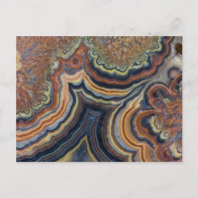 Carte Postale Onyx à tube fleuri (Devant)
