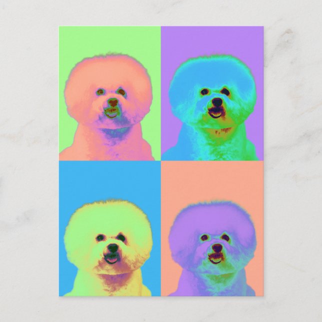 Carte Postale Op Art - Bichon Frise - Cody (Devant)