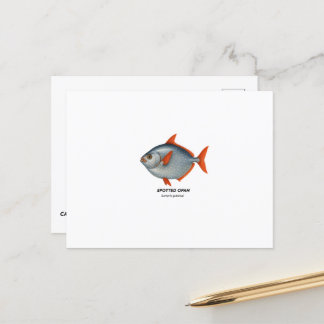 Carte Postale Opah tacheté - Animaux marins de Californie