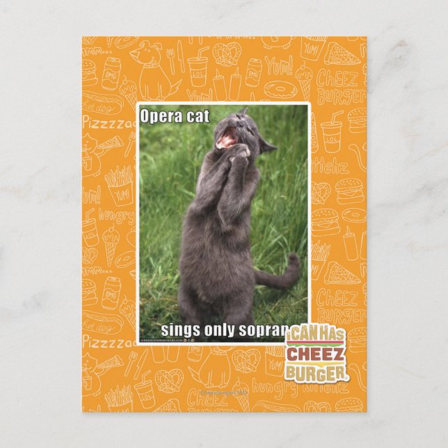 Carte Postale Opera Cat (Devant)
