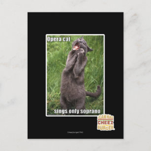 Carte Postale Opera Cat