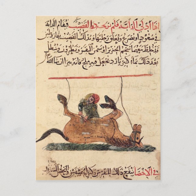 Carte Postale Opération sur un cheval, illustration (Devant)