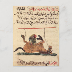 Carte Postale Opération sur un cheval, illustration