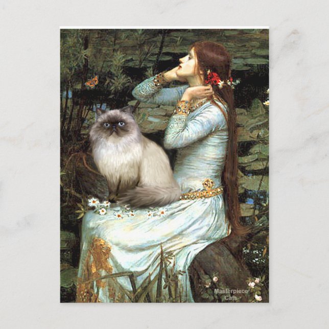 Carte Postale Ophelia - chat himalayen 7 (Devant)