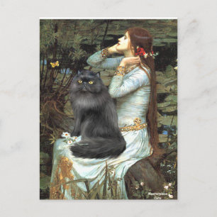 Carte Postale Ophelia - chat persan noir