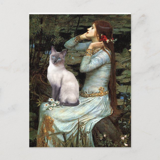 Carte Postale Ophelia - Chat siamois Blue Point (Devant)