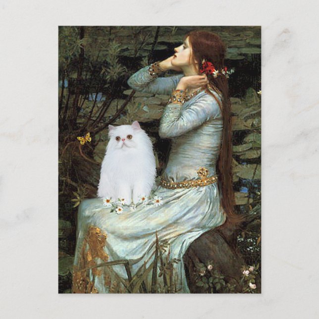 Carte Postale Ophelia - Chaton Persan Blanc (Devant)